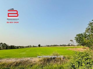 出售 土地 在 Nong Ya Sai, Suphan Buri