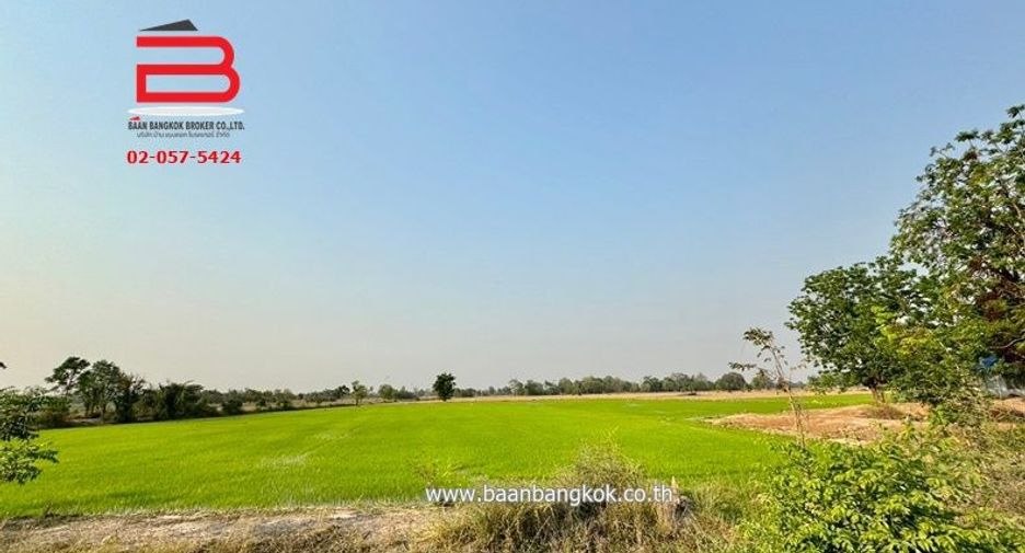ขาย ที่ดิน ใน หนองหญ้าไซ, สุพรรณบุรี