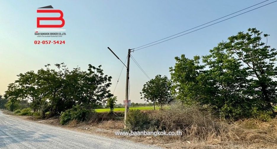 ขาย ที่ดิน ใน หนองหญ้าไซ, สุพรรณบุรี
