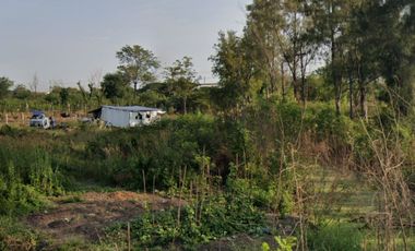 Grundstück zum Kauf in Sai Noi, Nonthaburi