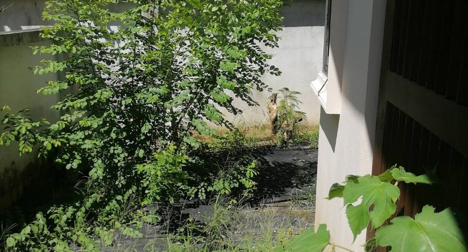 Продажа 3 спальни дом в Сан Саи, Чианг Маи