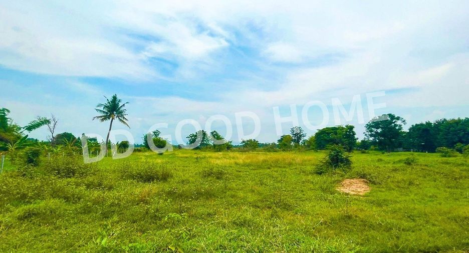 For sale land in Mueang Chaiyaphum, Chaiyaphum Hipflat