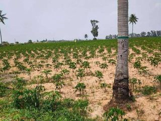 For sale land in Nong Yai, Chonburi