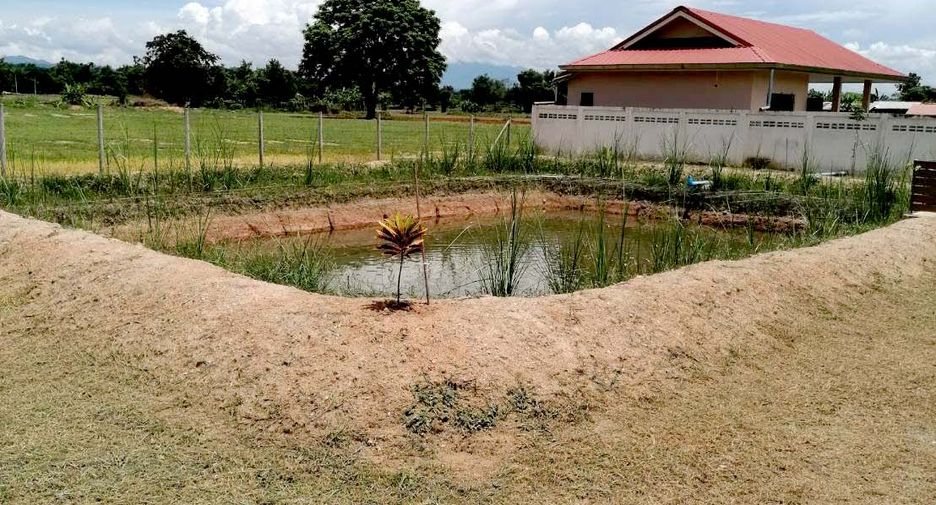 For sale land in Fang, Chiang Mai