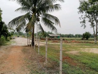出售 土地 在 Fang, Chiang Mai