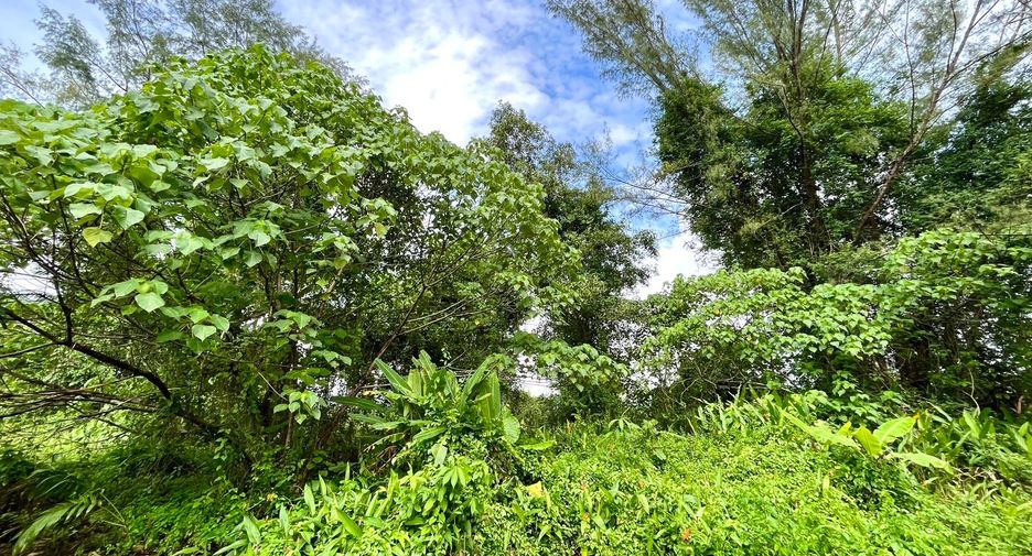 出售 土地 在 Takua Pa, Phangnga