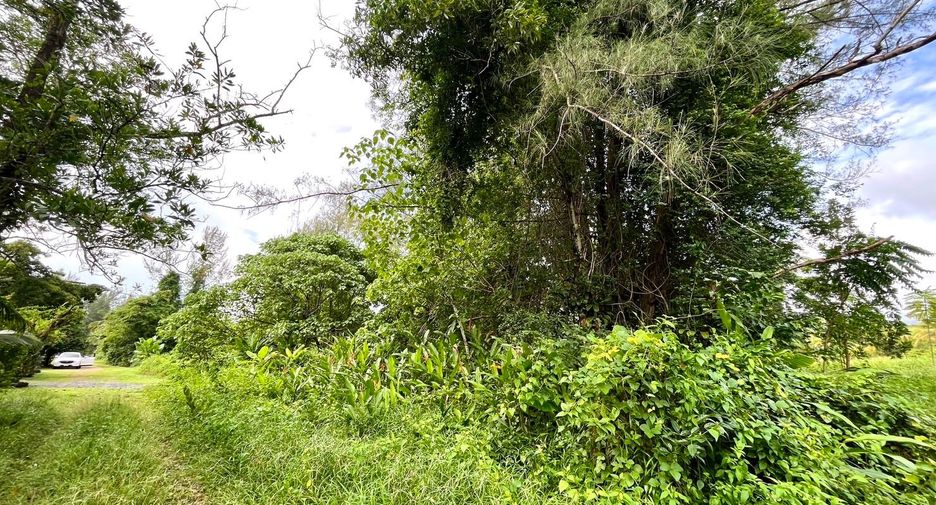 出售 土地 在 Takua Pa, Phangnga