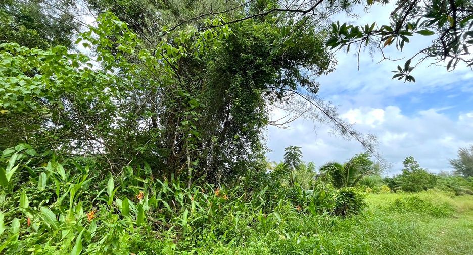 出售 土地 在 Takua Pa, Phangnga