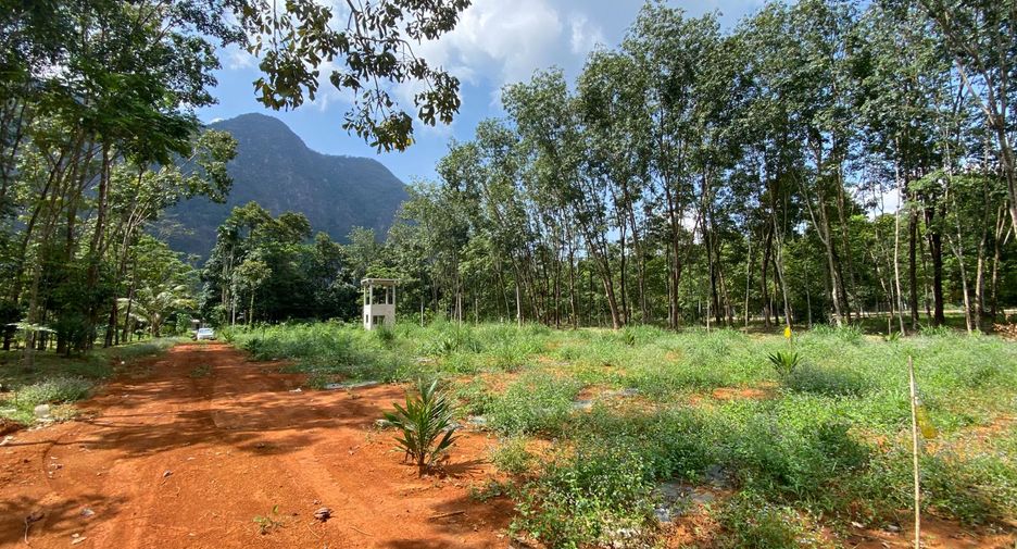 À vendre terrain à Mueang Krabi, Krabi
