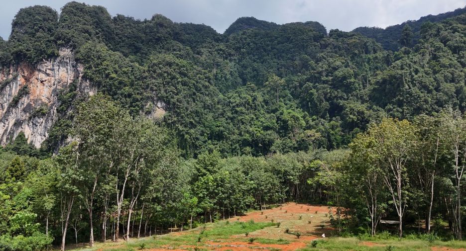 À vendre terrain à Mueang Krabi, Krabi