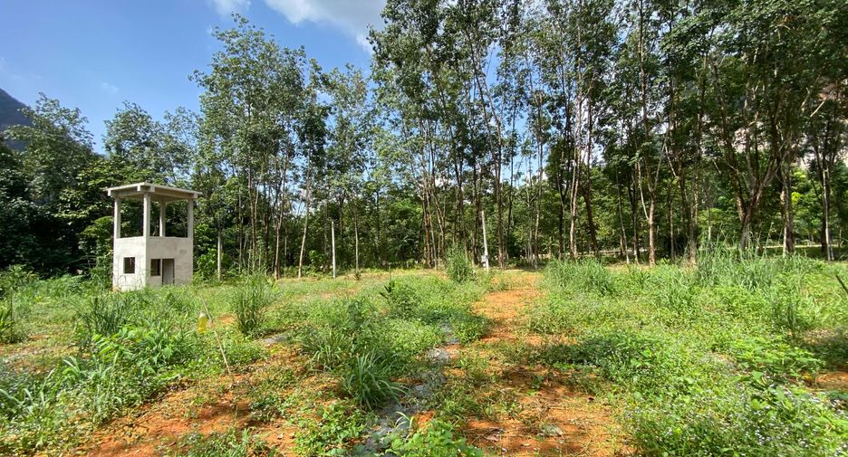 À vendre terrain à Mueang Krabi, Krabi