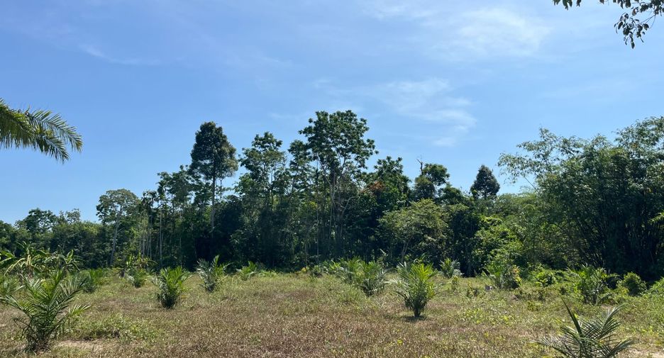 Terreno en venta en Thai Mueang, Phang Nga