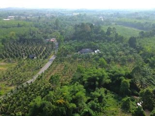 出售 土地 在 Thai Mueang, Phangnga