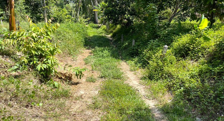 Terreno en venta en Thai Mueang, Phang Nga