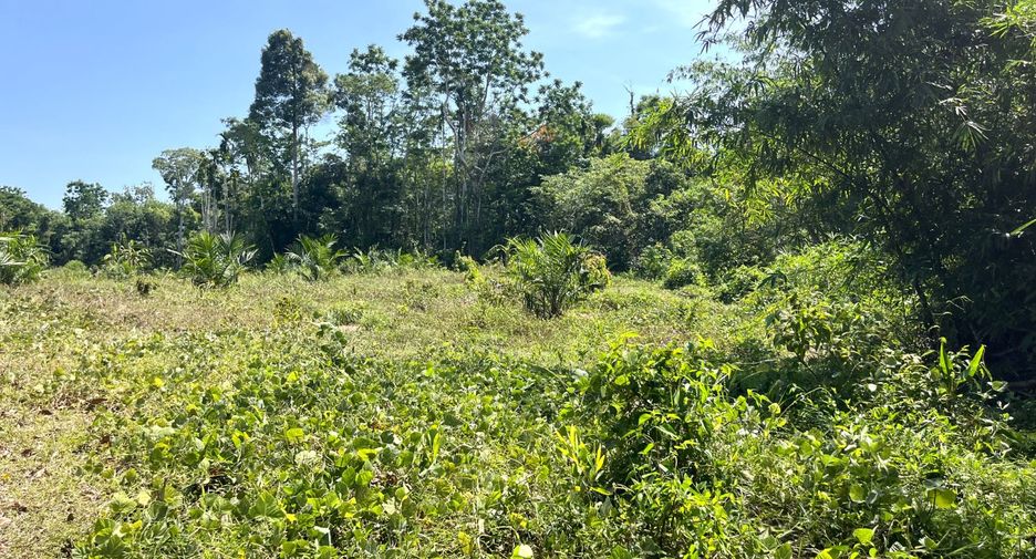 Terreno en venta en Thai Mueang, Phang Nga