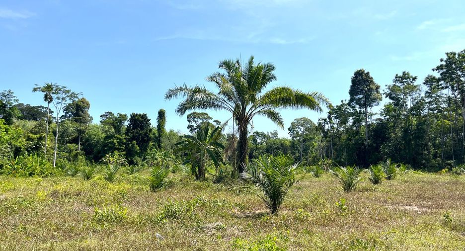 Terreno en venta en Thai Mueang, Phang Nga