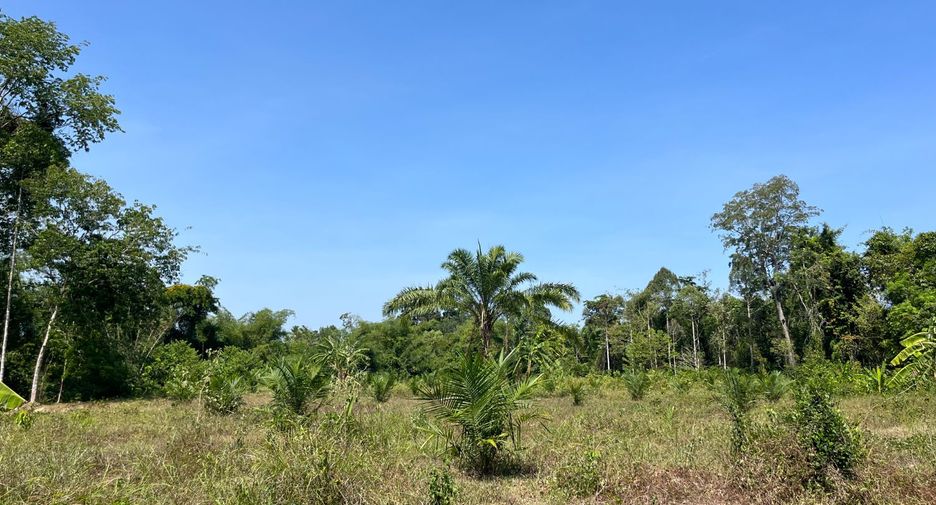 Terreno en venta en Thai Mueang, Phang Nga
