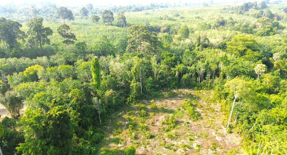 Terreno en venta en Thai Mueang, Phang Nga