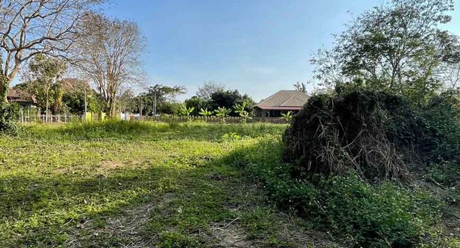 Grundstück zum Kauf in Doi Saket, Chiang Mai