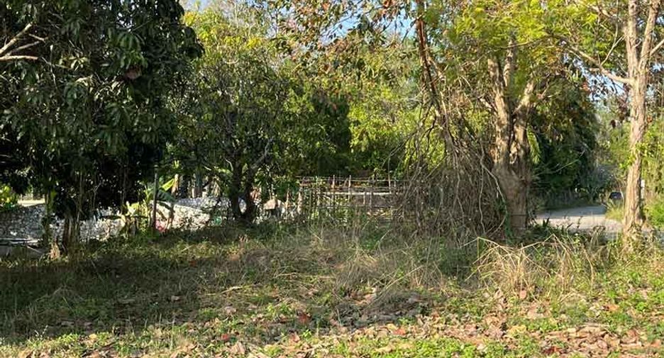 Grundstück zum Kauf in Doi Saket, Chiang Mai