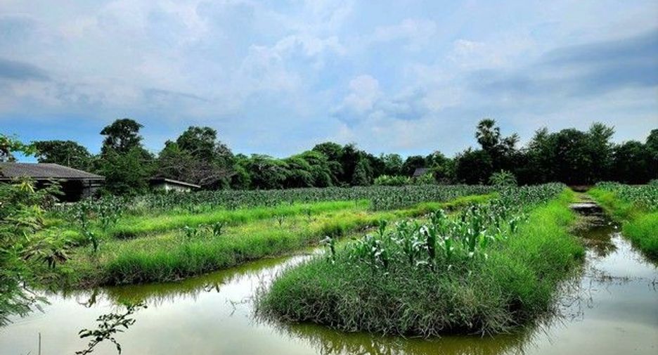 ขาย ที่ดิน ใน ธัญบุรี, ปทุมธานี