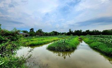 ขาย ที่ดิน ใน ธัญบุรี, ปทุมธานี
