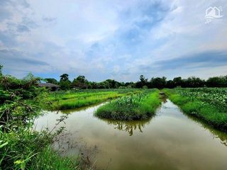 For sale land in Thanyaburi, Pathum Thani