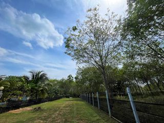 For sale land in Thai Mueang, Phang Nga