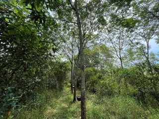 For sale land in Thai Mueang, Phang Nga