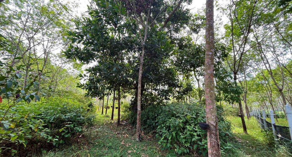 For sale land in Thai Mueang, Phang Nga