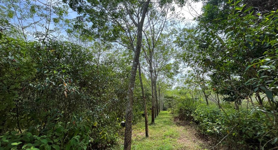 For sale land in Thai Mueang, Phang Nga