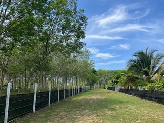 For sale land in Thai Mueang, Phang Nga