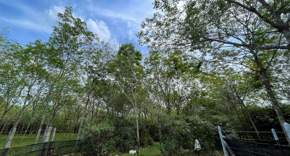 For sale land in Thai Mueang, Phang Nga