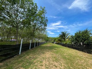 For sale land in Thai Mueang, Phang Nga