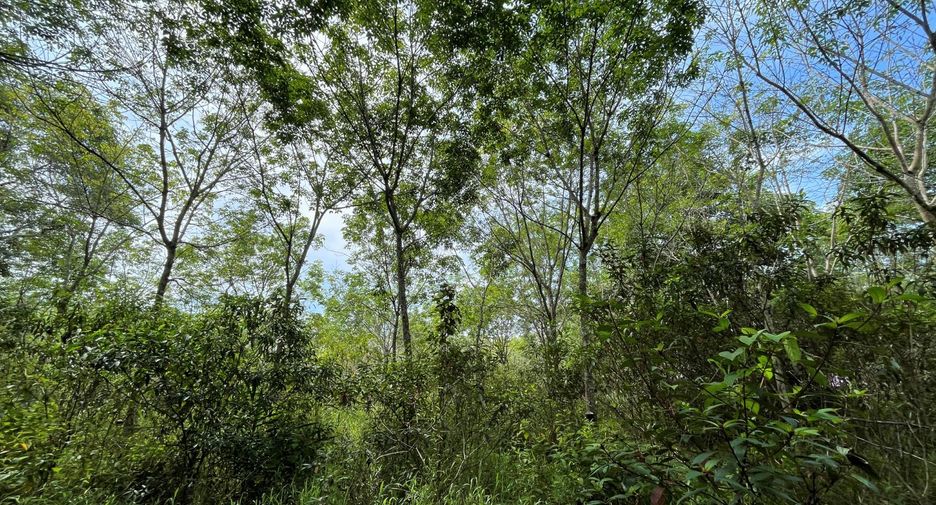 For sale land in Thai Mueang, Phang Nga