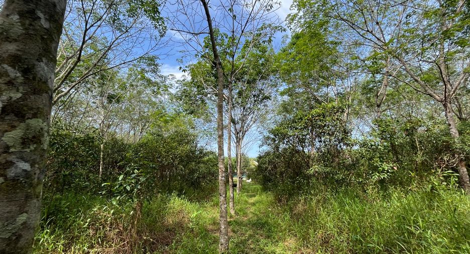 For sale land in Thai Mueang, Phang Nga