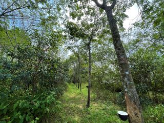 For sale land in Thai Mueang, Phang Nga