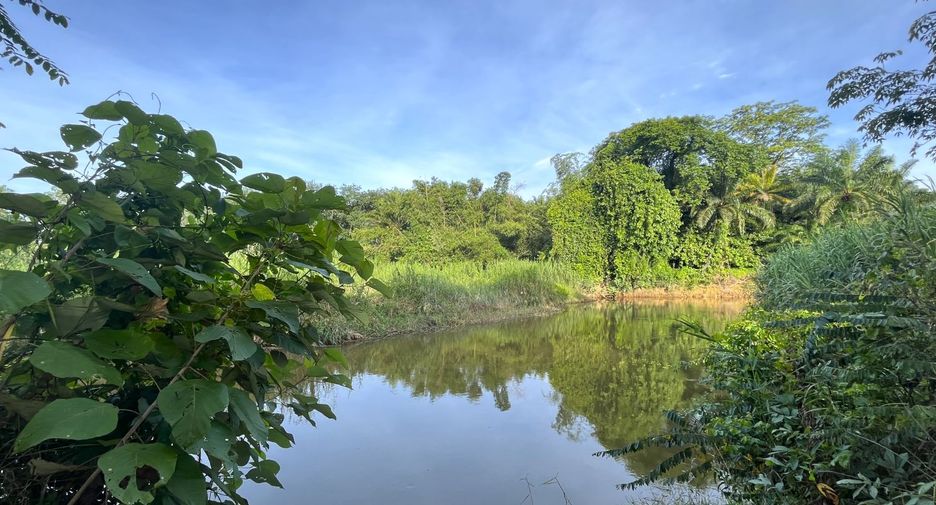 À vendre terrain à Thai Mueang, Phang Nga