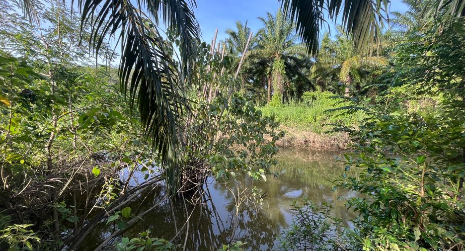 À vendre terrain à Thai Mueang, Phang Nga