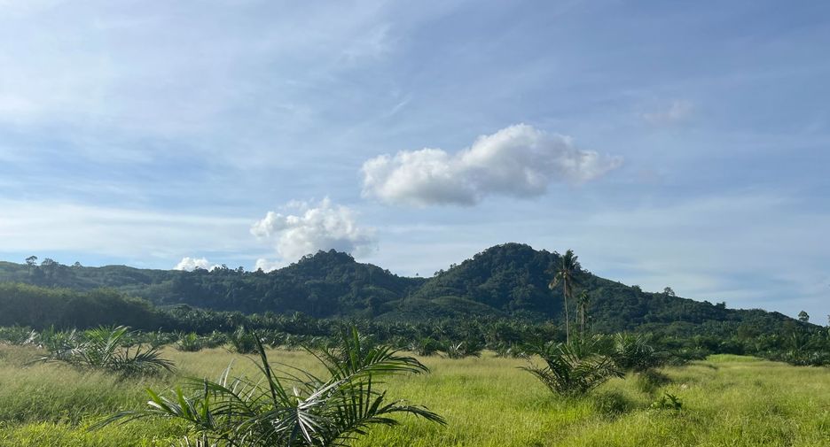 À vendre terrain à Thai Mueang, Phang Nga