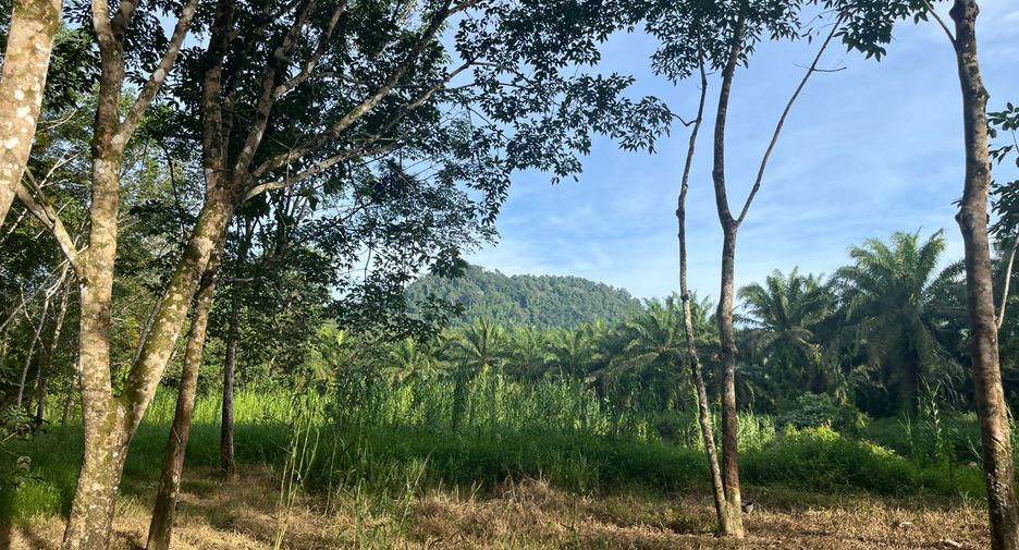 À vendre terrain à Thai Mueang, Phang Nga