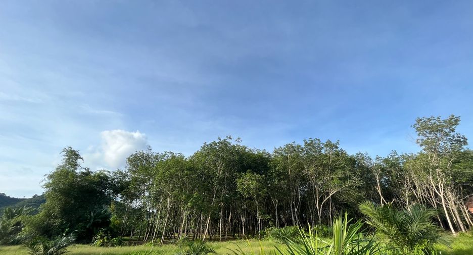 À vendre terrain à Thai Mueang, Phang Nga