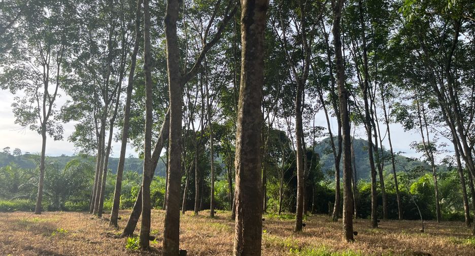 À vendre terrain à Thai Mueang, Phang Nga
