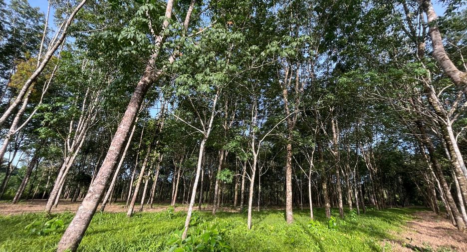 À vendre terrain à Thai Mueang, Phang Nga