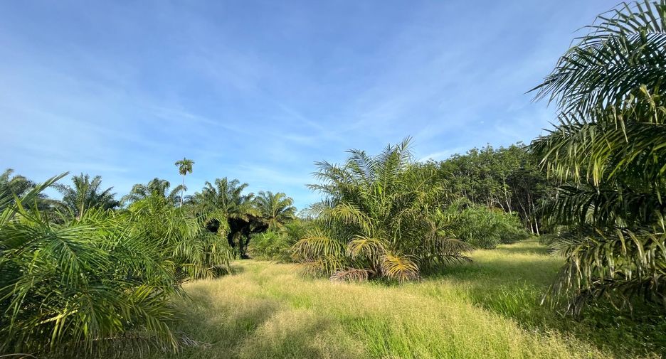 À vendre terrain à Thai Mueang, Phang Nga