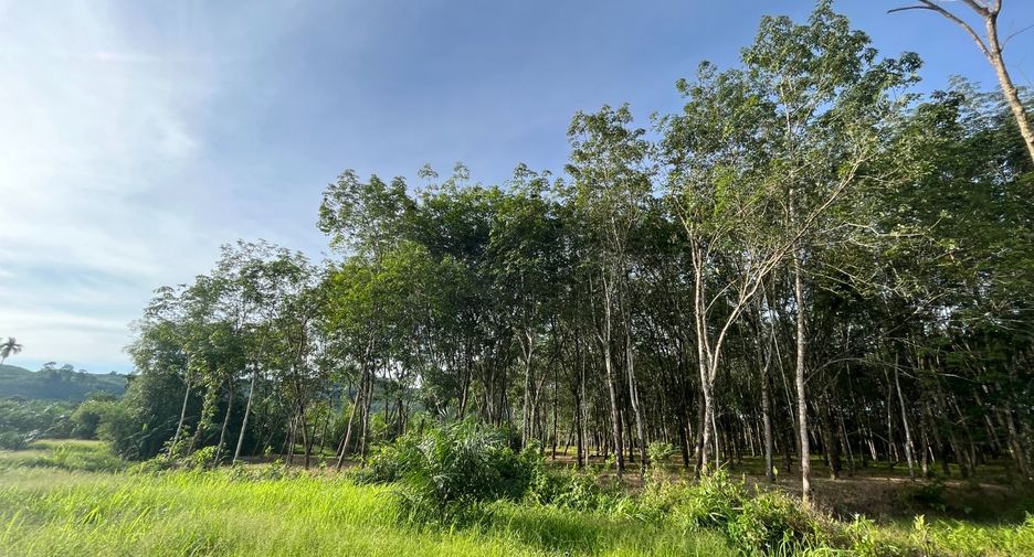 À vendre terrain à Thai Mueang, Phang Nga