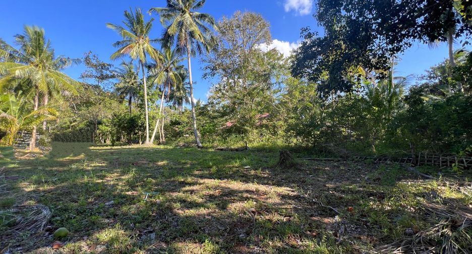 For sale land in Mueang Krabi, Krabi