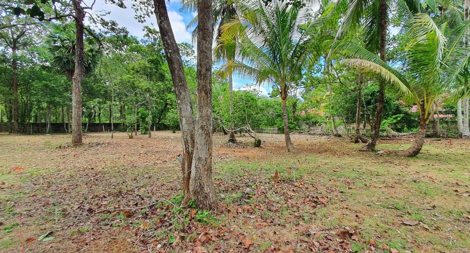 For sale land in Mueang Krabi, Krabi