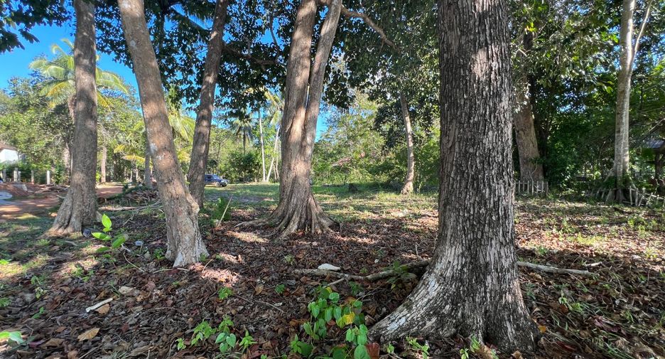 For sale land in Mueang Krabi, Krabi