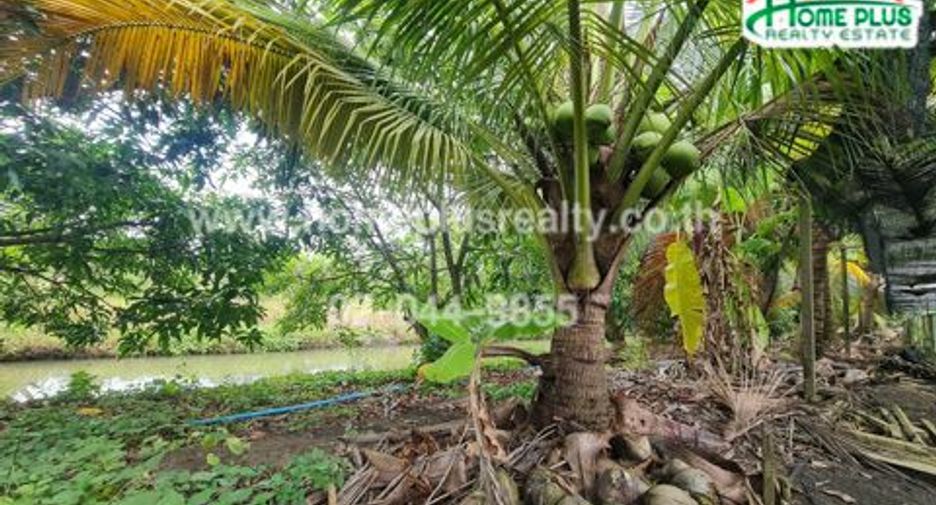 For sale land in Amphawa, Samut Songkhram
